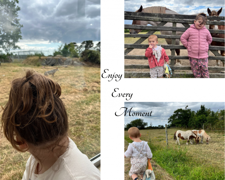 Lire la suite à propos de l’article Visite du Parc Armorique, le Menez Meur